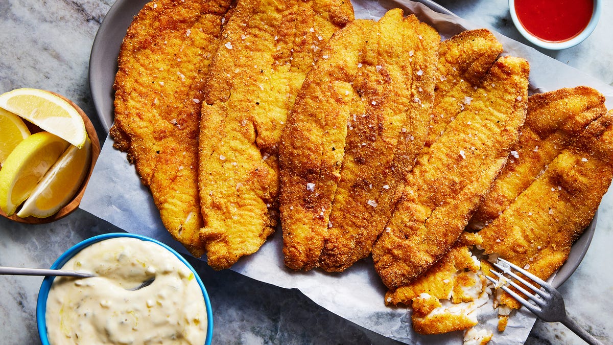 Fish and Fish and Fish